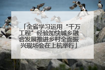全省学习运用“千万工程”经验加快城乡融合发展推进乡村全面振兴现场会在上杭举行