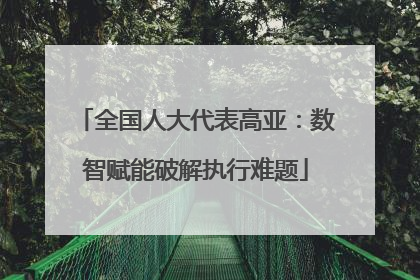 全国人大代表高亚：数智赋能破解执行难题