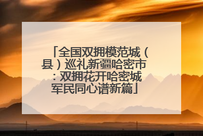 全国双拥模范城（县）巡礼新疆哈密市：双拥花开哈密城 军民同心谱新篇