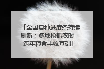 全国夏种进度条持续刷新：多地抢抓农时 筑牢粮食丰收基础