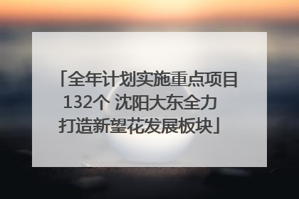 全年计划实施重点项目132个 沈阳大东全力打造新望花发展板块