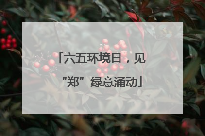 六五环境日，见“郑”绿意涌动