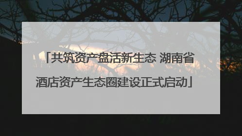 共筑资产盘活新生态 湖南省酒店资产生态圈建设正式启动