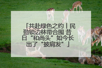 共赴绿色之约丨民勤锁边林带合围 昔日“和尚头”如今长出了“披肩发”
