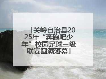 关岭自治县2025年“奔跑吧少年”校园足球三级联赛圆满落幕