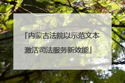 内蒙古法院以示范文本激活司法服务新效能