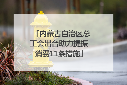 内蒙古自治区总工会出台助力提振消费11条措施