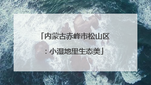 内蒙古赤峰市松山区：小湿地里生态美