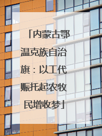内蒙古鄂温克族自治旗：以工代赈托起农牧民增收梦