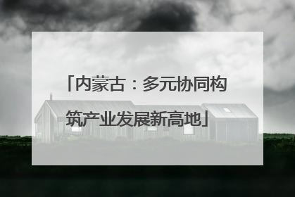 内蒙古：多元协同构筑产业发展新高地