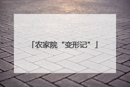 农家院“变形记”
