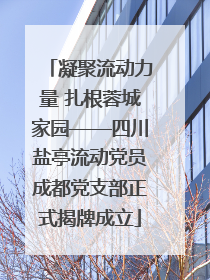 凝聚流动力量 扎根蓉城家园——四川盐亭流动党员成都党支部正式揭牌成立