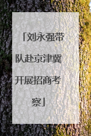 刘永强带队赴京津冀开展招商考察