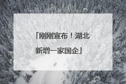 刚刚宣布！湖北新增一家国企
