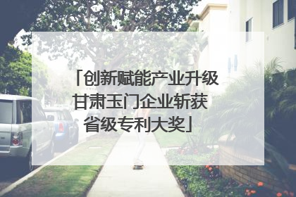 创新赋能产业升级 甘肃玉门企业斩获省级专利大奖