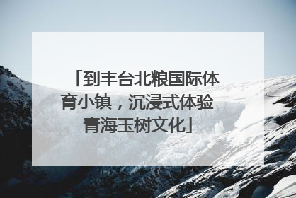 到丰台北粮国际体育小镇，沉浸式体验青海玉树文化