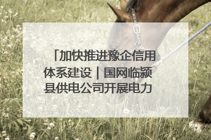 加快推进豫企信用体系建设｜国网临颍县供电公司开展电力行业信用企业现场咨询访谈工作