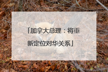 加拿大总理：将重新定位对华关系