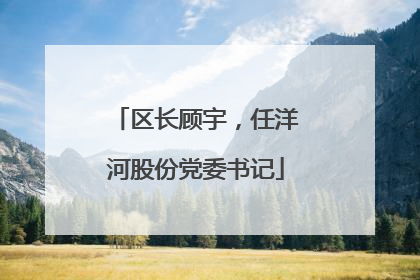 区长顾宇，任洋河股份党委书记