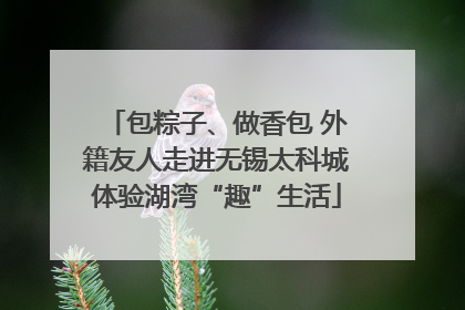 包粽子、做香包 外籍友人走进无锡太科城体验湖湾“趣”生活