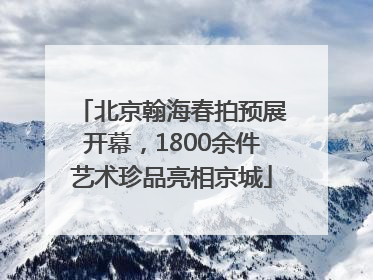 北京翰海春拍预展开幕，1800余件艺术珍品亮相京城