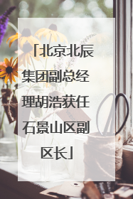北京北辰集团副总经理胡浩获任石景山区副区长