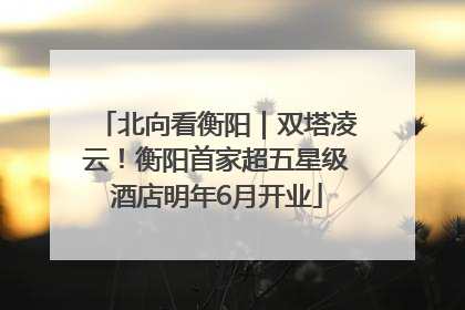 北向看衡阳｜双塔凌云！衡阳首家超五星级酒店明年6月开业