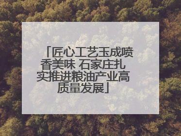 匠心工艺玉成喷香美味 石家庄扎实推进粮油产业高质量发展