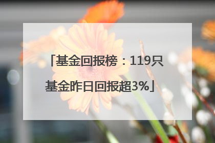 基金回报榜：119只基金昨日回报超3%