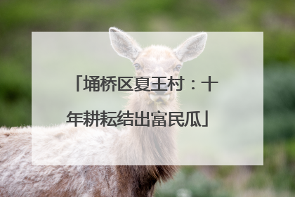埇桥区夏王村：十年耕耘结出富民瓜