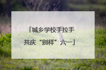 城乡学校手拉手 共庆“别样”六一