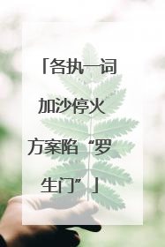 各执一词 加沙停火方案陷“罗生门”