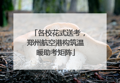 各校花式送考，郑州航空港构筑温暖助考矩阵