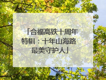 合福高铁十周年特辑：十年山海路 最美守护人