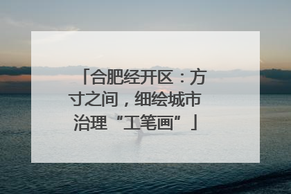 合肥经开区：方寸之间，细绘城市治理“工笔画”