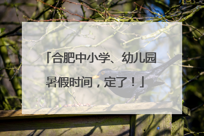 合肥中小学、幼儿园暑假时间，定了！