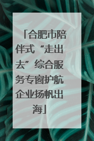 合肥市陪伴式“走出去”综合服务专窗护航企业扬帆出海