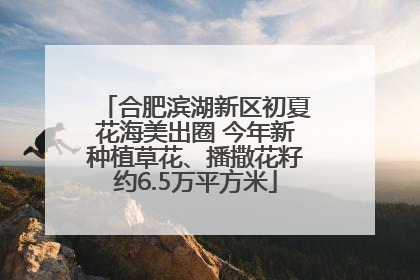 合肥滨湖新区初夏花海美出圈 今年新种植草花、播撒花籽约6.5万平方米