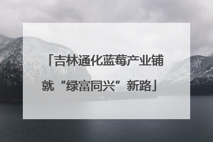 吉林通化蓝莓产业铺就“绿富同兴”新路