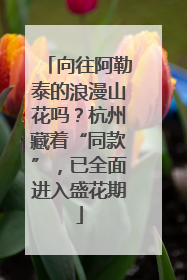 向往阿勒泰的浪漫山花吗？杭州藏着“同款”，已全面进入盛花期
