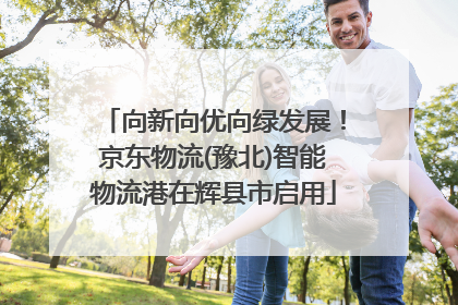 向新向优向绿发展！京东物流(豫北)智能物流港在辉县市启用
