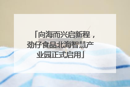 向海而兴启新程，劲仔食品北海智慧产业园正式启用