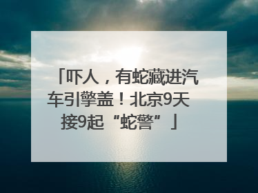 吓人，有蛇藏进汽车引擎盖！北京9天接9起“蛇警”