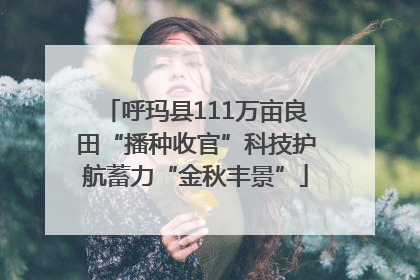 呼玛县111万亩良田“播种收官”科技护航蓄力“金秋丰景”