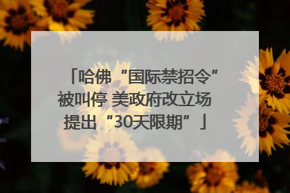 哈佛“国际禁招令”被叫停 美政府改立场提出“30天限期”