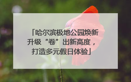 哈尔滨极地公园焕新升级“卷”出新高度，打造多元假日体验