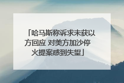 哈马斯称诉求未获以方回应 对美方加沙停火提案感到失望