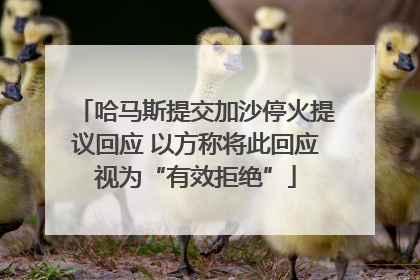 哈马斯提交加沙停火提议回应 以方称将此回应视为“有效拒绝”