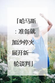 哈马斯：准备就加沙停火展开新一轮谈判