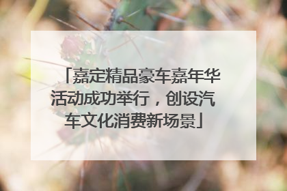 嘉定精品豪车嘉年华活动成功举行，创设汽车文化消费新场景
